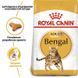 Royal Canin BENGAL ADULT корм для котів, 2кг, 2кг