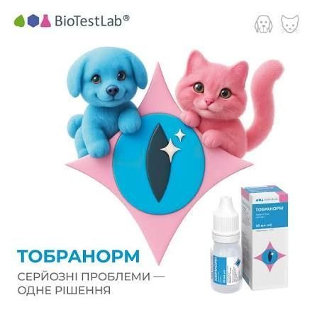 BioTestLab Тобранорм антибактериальные глазные капли для собак и кошек, 10 мл, 10мл