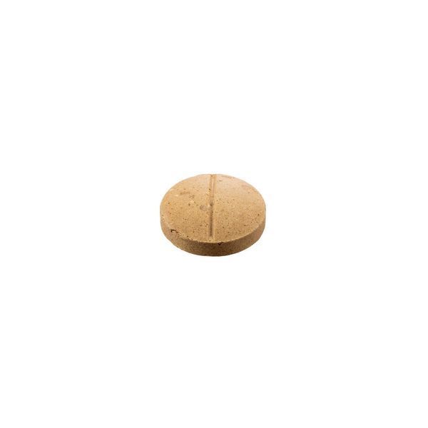 8in1 EXCEL BREVERS YEAST LARGE харчова добавка для для шкіри та шерсті собак великих порід, 80 табл.