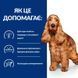 Hill's Prescription Diet Canine Z/D Food Sensitivities корм для собак із чутливим травленням, 10кг