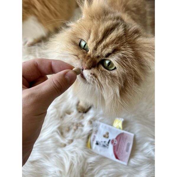 GimCat Every Day Malt Tabs Вітаміни для котів, 40 г, 40г