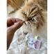 GimCat Every Day Malt Tabs Вітаміни для котів, 40 г, 40г
