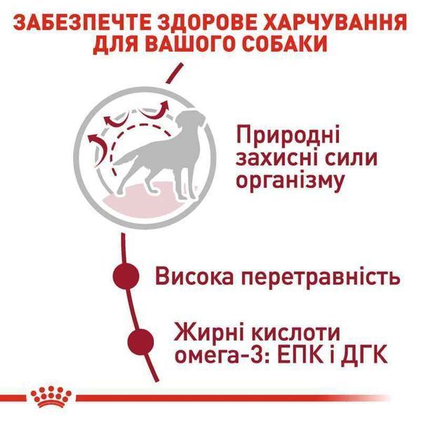 RC MEDIUM ADULT корм для дорослих собак середніх порід, 15кг