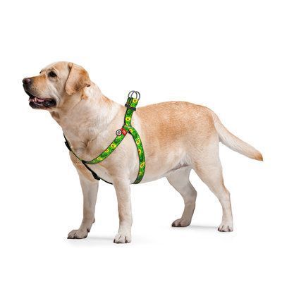 WAUDOG Шлея для собак Nylon c QR,"Авокадо", пластиковый фастекс, Ш 15 мм, Дл 40-55 см