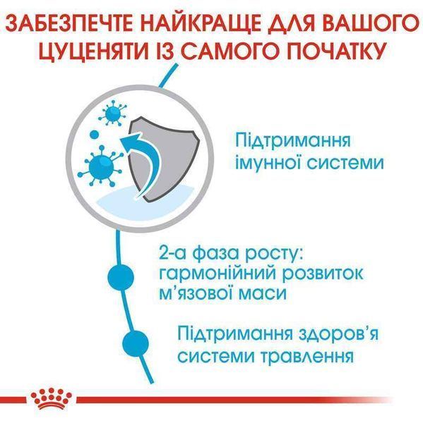 RC GIANT JUNIOR корм для цуценят гігантських порід від 8-24 місяців, 15 кг, 15кг