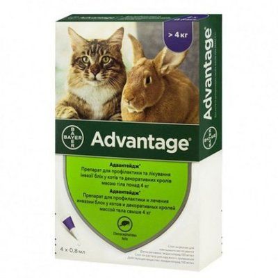 BAYER Advantage краплі від бліх та власоїдів для котів, кошенят та кроликів, 4-8 кг