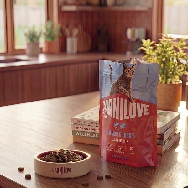 Carnilove Active Salmon & Turkey сухой беззерновой корм для кошек ЛОСОСЬ и ИНДЕЙКА, 400г