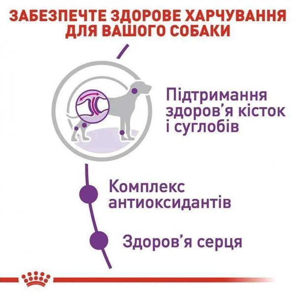 RC GIANT ADULT корм для собак гігантських порід від 18 місяців, 15 кг, 15кг