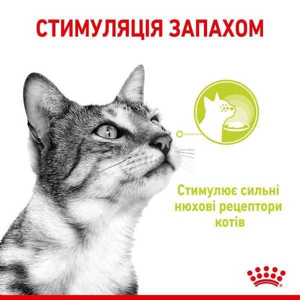 Royal Canin SENSORY SMELL GRAVY консерви для котів вибагливих до аромату, 85г, 85г