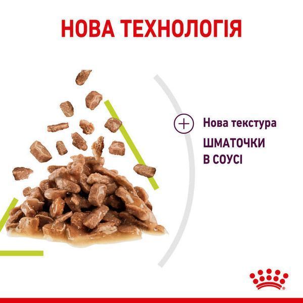 Royal Canin SENSORY SMELL GRAVY консерви для котів вибагливих до аромату, 85г, 85г