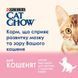 Cat Chow Kitten корм для кошенят з куркою, 15кг