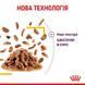 Royal Canin SENSORY TASTE GRAVY консерви для котів вибагливих до смаку, 85г, 85г