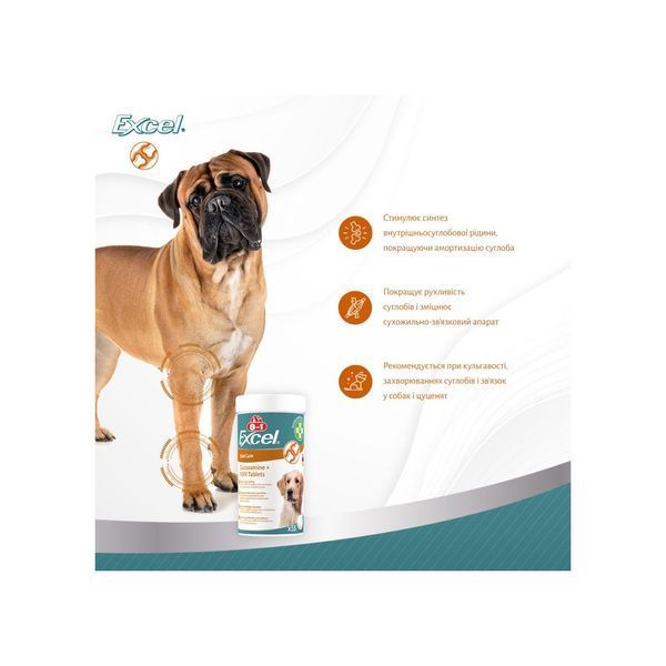 8in1 EXCEL GLUCOSAMIN & MSM (ГЛЮКОЗАМІН І МСМ) харчова добавка для собак, 55 табл.